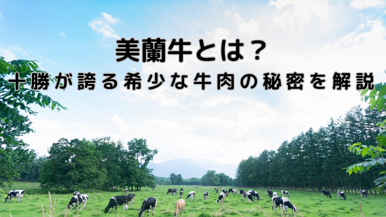 北海道十勝牛の群れ