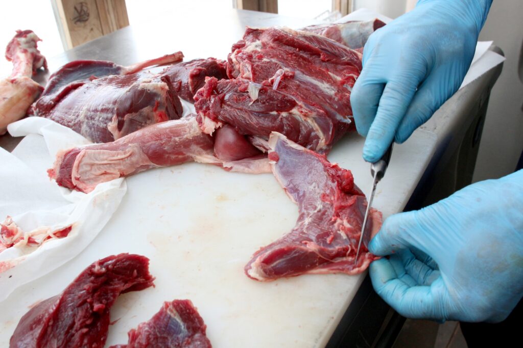 鹿肉を捌く