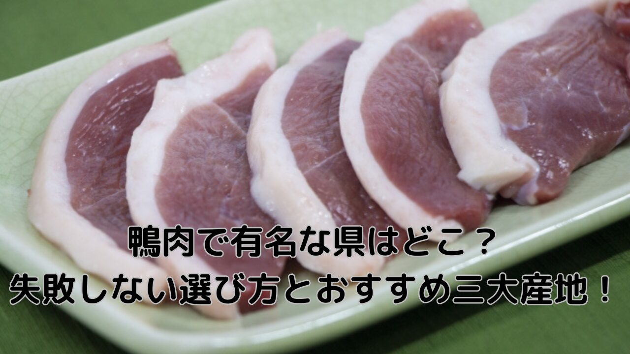 鴨肉スライス
